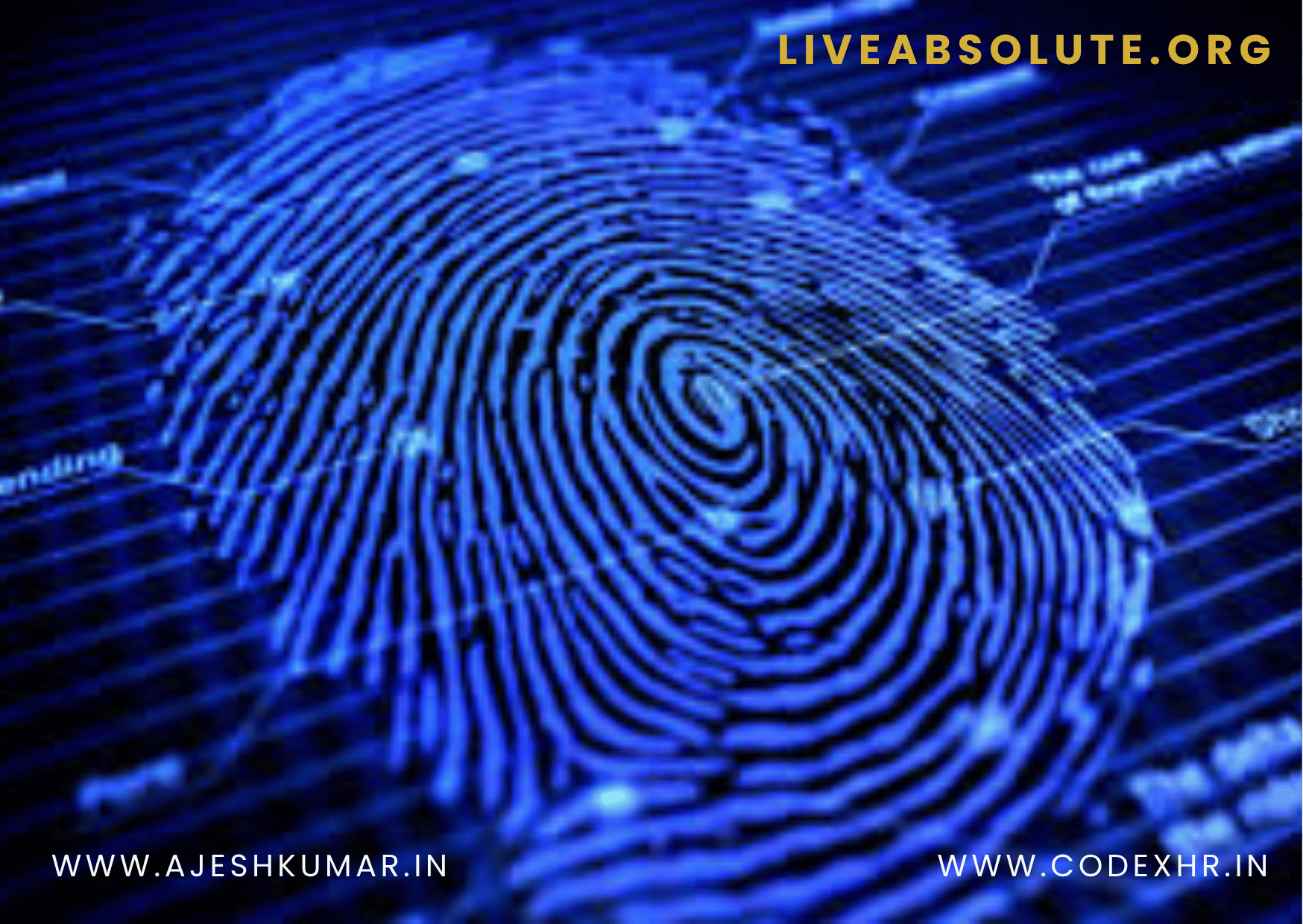liveabsolute.org